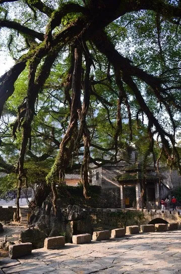 博皓游記 | 夏風微醺的綺夢，領略賀州黃姚古鎮(zhèn)、姑婆山閑憩之美-12
