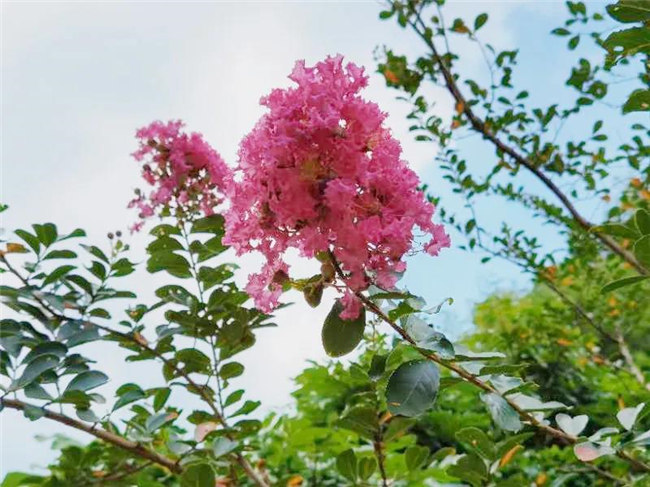 呼吸鮮氧，踐行公益——廣東博皓公益活動(dòng)：星溪線公益環(huán)保活動(dòng)   -5