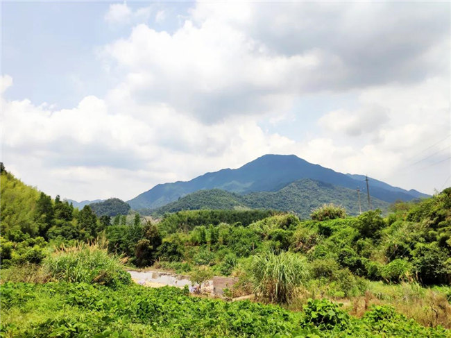 呼吸鮮氧，踐行公益——廣東博皓公益活動(dòng)：星溪線公益環(huán)?；顒?dòng)   -6