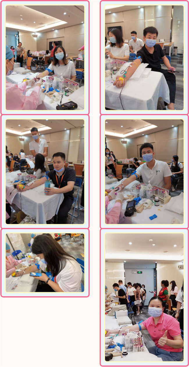 捐獻(xiàn)青春熱血，彩繪人生畫卷——廣東博皓總班委組織了一次“捐我熱血，呵護(hù)生命”的無償獻(xiàn)血公益活動(dòng)    -3