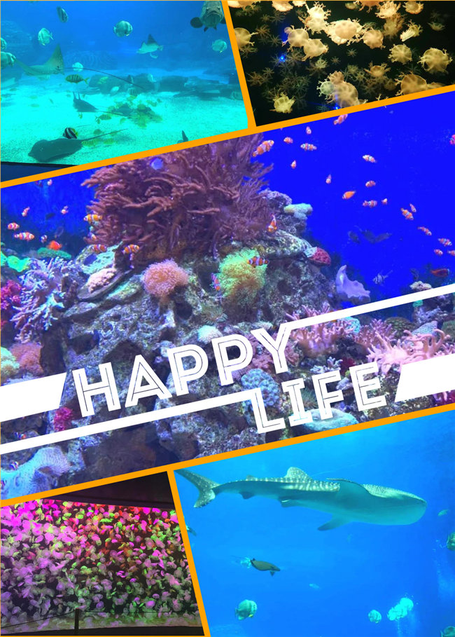 廣東博皓親子游：珠海長(zhǎng)隆海洋王國(guó)，探索海洋生物的奧秘，奇妙的動(dòng)物世界