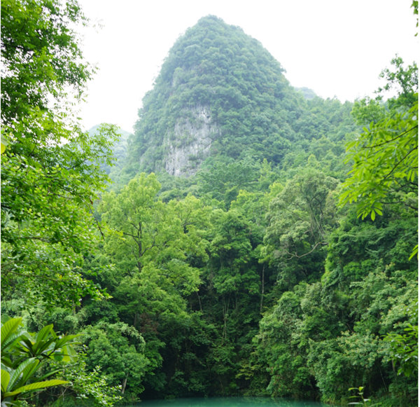 賞華夏大地，游多彩貴州-－2021年廣東博皓快樂行-2
