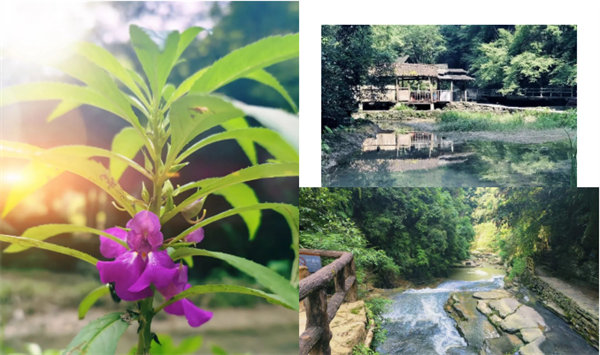 “湘”約鳳凰，相守未來——2022博皓快樂湖南行    -34