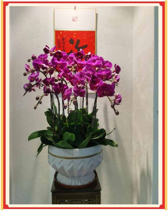 廣東博皓開工大吉丨金虎騰躍，兔來運(yùn)轉(zhuǎn)           -23