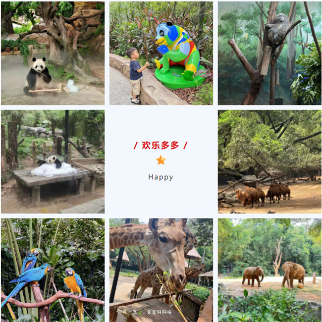 大手牽小手，快樂(lè)親子游！廣東博皓2023年親子游活動(dòng)        -8