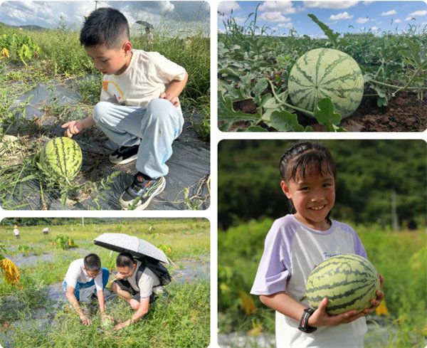 趣游盛夏，一路童行—2024年廣東博皓親子游   -12