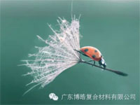 【博皓感悟】成功，要“借力”，不要“盡力”