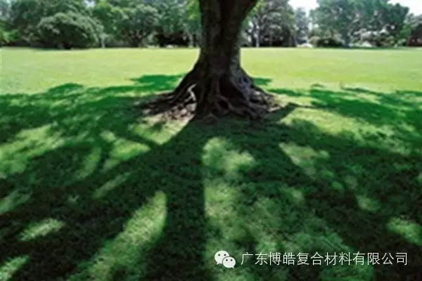 【博皓感悟】欲為大樹，莫與草爭-6